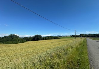 parcel for sale - Jasienica, Łazy
