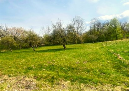 działka na sprzedaż - Jaworze, Jaworze Dolne