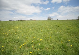 działka na sprzedaż - Jasienica, Roztropice