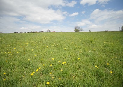 parcel for sale - Jasienica, Roztropice